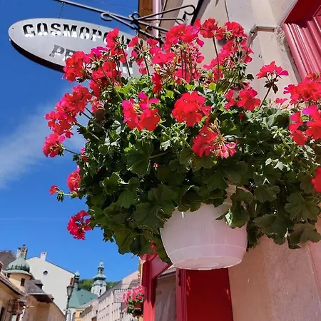 Cosmopolitan Ii. Banská Štiavnica