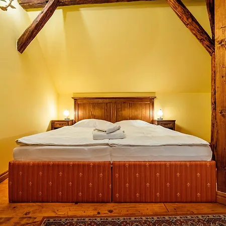 Cosmopolitan Ii. Banska Stiavnica