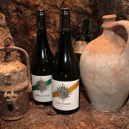 Cosmopolitan Ii. Banská Štiavnica