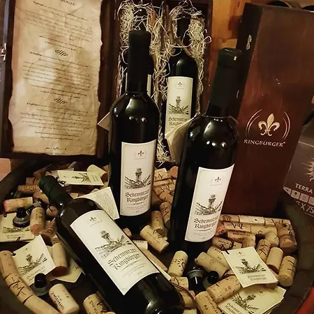 Cosmopolitan Ii. Pensjonat Banská Štiavnica